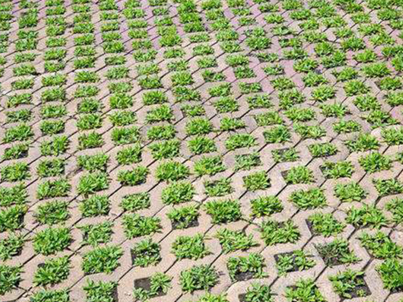 草坪砖,烟台草坪砖,烟台草坪砖厂家